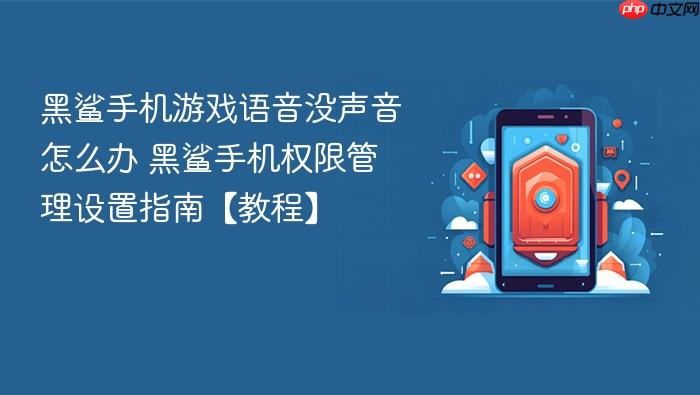 黑鲨手机游戏语音没声音怎么办 黑鲨手机权限管理设置指南【教程】
