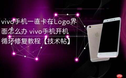 vivo手机一直卡在Logo界面怎么办 vivo手机开机循环修复教程【技术帖】