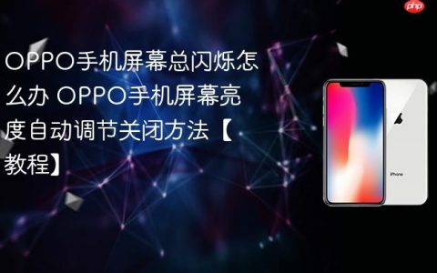 OPPO手机屏幕总闪烁怎么办 OPPO手机屏幕亮度自动调节关闭方法【教程】