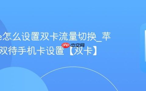 iphone怎么设置双卡流量切换?苹果手机双待手机卡设置【双卡】