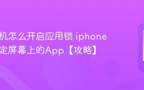 苹果手机怎么开启应用锁 iphone如何锁定屏幕上的App【攻略】