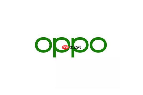 oppo手机怎么打开usb调试_oppo手机usb调试模式开启方法【进阶】