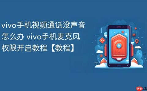 vivo手机视频通话没声音怎么办 vivo手机麦克风权限开启教程【教程】