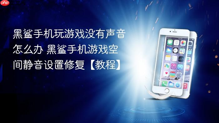 黑鲨手机玩游戏没有声音怎么办 黑鲨手机游戏空间静音设置修复【教程】