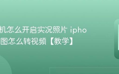 苹果手机怎么开启实况照片 iphone实况图怎么转视频【教学】