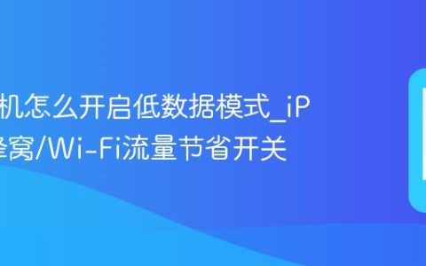 苹果手机怎么开启低数据模式?iPhone蜂窝/Wi-Fi流量节省开关