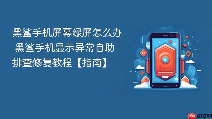 黑鲨手机屏幕绿屏怎么办 黑鲨手机显示异常自助排查修复教程【指南】