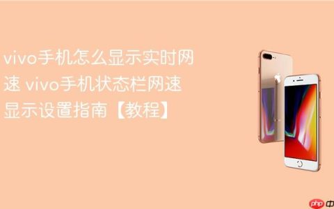 vivo手机怎么显示实时网速 vivo手机状态栏网速显示设置指南【教程】