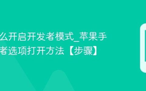 苹果怎么开启开发者模式?苹果手机开发者选项打开方法【步骤】