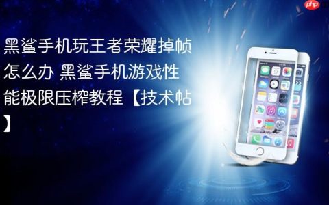 黑鲨手机玩王者荣耀掉帧怎么办 黑鲨手机游戏性能极限压榨教程【技术帖】