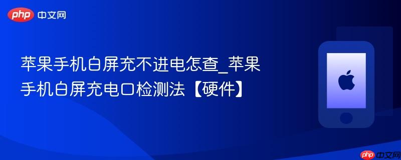 苹果手机白屏充不进电怎查_苹果手机白屏充电口检测法【硬件】