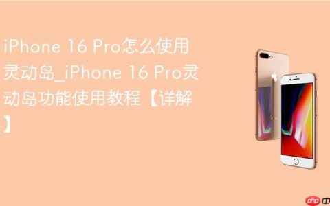 iPhone 16 Pro怎么使用灵动岛?iPhone 16 Pro灵动岛功能使用教程【详解】
