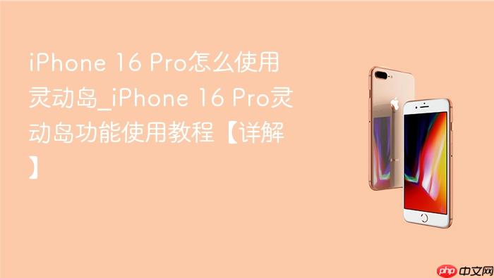 iphone 16 pro怎么使用灵动岛_iphone 16 pro灵动岛功能使用教程【详解】