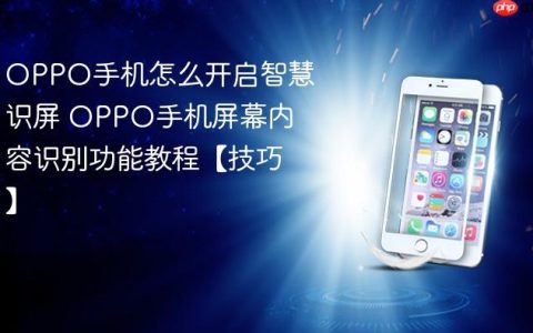 OPPO手机怎么开启智慧识屏 OPPO手机屏幕内容识别功能教程【技巧】