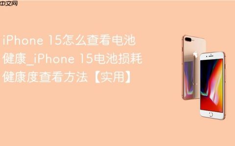 iPhone 15怎么查看电池健康?iPhone 15电池损耗健康度查看方法【实用】