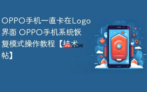 OPPO手机一直卡在Logo界面 OPPO手机系统恢复模式操作教程【技术帖】