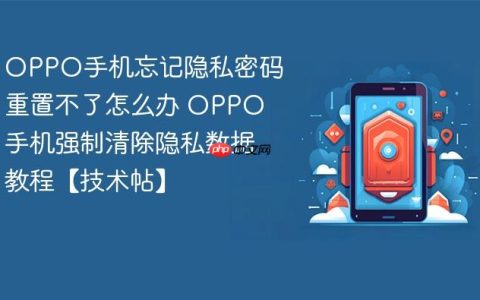 OPPO手机忘记隐私密码重置不了怎么办 OPPO手机强制清除隐私数据教程【技术帖】