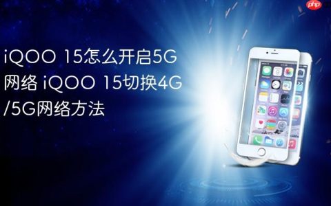 iQOO 15怎么开启5G网络 iQOO 15切换4G/5G网络方法
