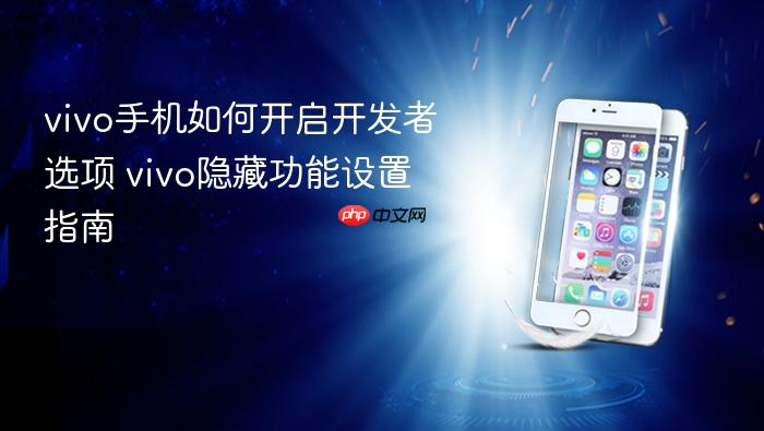 vivo手机如何开启开发者选项 vivo隐藏功能设置指南
