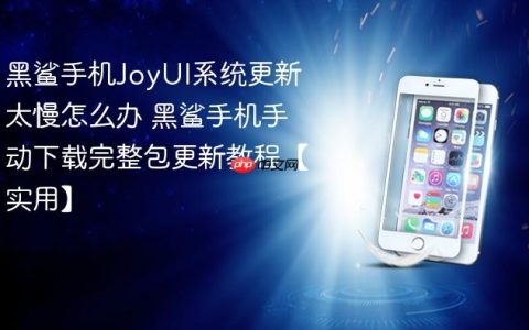 黑鲨手机JoyUI系统更新太慢怎么办 黑鲨手机手动下载完整包更新教程【实用】