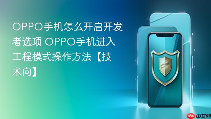 oppo手机怎么开启开发者选项 oppo手机进入工程模式操作方法【技术向】