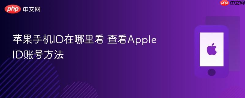 苹果手机id在哪里看 查看apple id账号方法