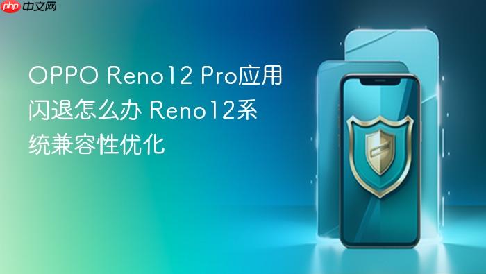 oppo reno12 pro应用闪退怎么办 reno12系统兼容性优化