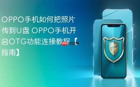 OPPO手机如何把照片传到U盘 OPPO手机开启OTG功能连接教程【指南】