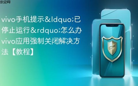 vivo手机提示&ldquo;已停止运行&rdquo;怎么办 vivo应用强制关闭解决方法【教程】