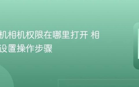 苹果手机相机权限在哪里打开 相机权限设置操作步骤