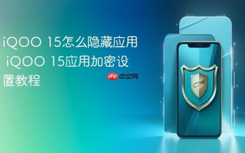 iQOO 15怎么隐藏应用 iQOO 15应用加密设置教程