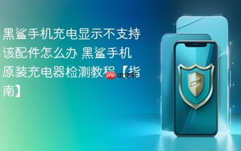 黑鲨手机充电显示不支持该配件怎么办 黑鲨手机原装充电器检测教程【指南】