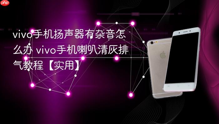 vivo手机扬声器有杂音怎么办 vivo手机喇叭清灰排气教程【实用】