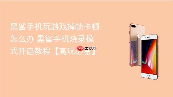 黑鲨手机玩游戏掉帧卡顿怎么办 黑鲨手机烧录模式开启教程【高玩必备】