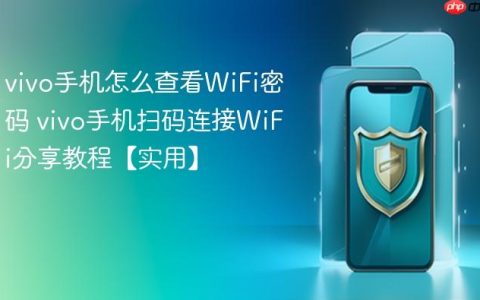 vivo手机怎么查看WiFi密码 vivo手机扫码连接WiFi分享教程【实用】