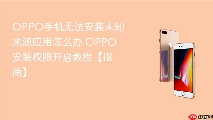 oppo手机无法安装未知来源应用怎么办 oppo安装权限开启教程【指南】