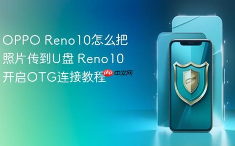 OPPO Reno10怎么把照片传到U盘 Reno10开启OTG连接教程