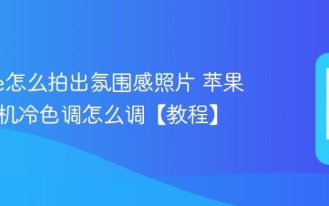 iphone怎么拍出氛围感照片 苹果手机相机冷色调怎么调【教程】