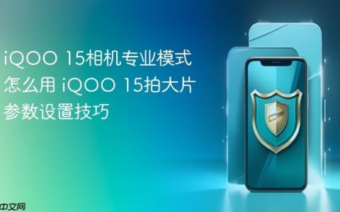 iQOO 15相机专业模式怎么用 iQOO 15拍大片参数设置技巧