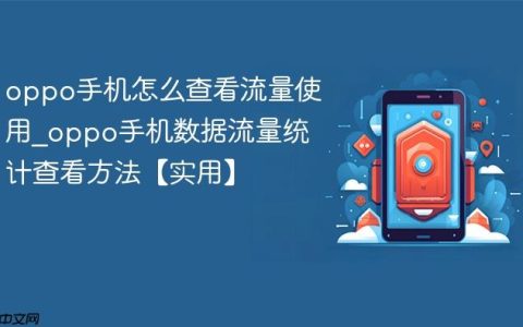 oppo手机怎么查看流量使用?oppo手机数据流量统计查看方法【实用】