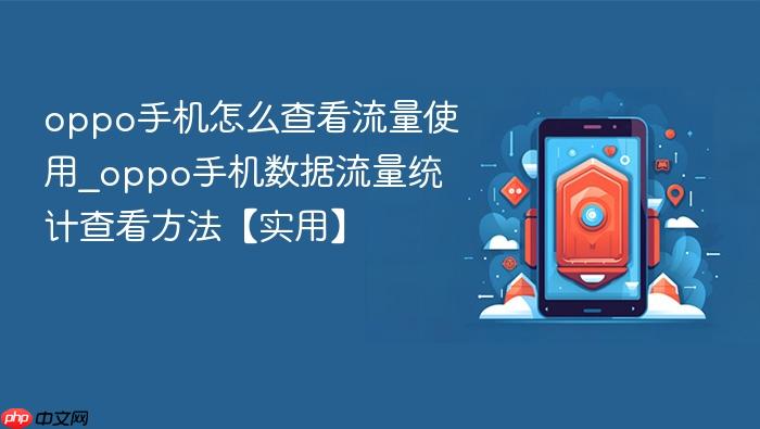 oppo手机怎么查看流量使用_oppo手机数据流量统计查看方法【实用】