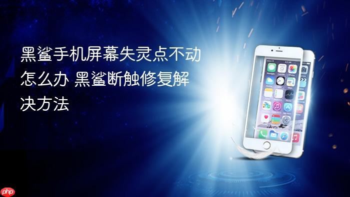 黑鲨手机屏幕失灵点不动怎么办 黑鲨断触修复解决方法