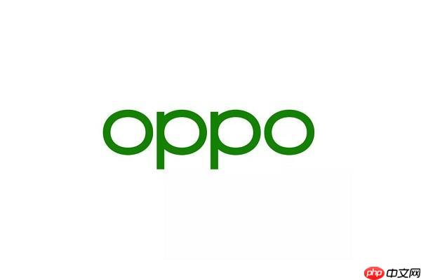 oppo手机怎么清理内存_oppo手机存储空间清理释放方法【实用】