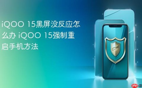 iQOO 15黑屏没反应怎么办 iQOO 15强制重启手机方法