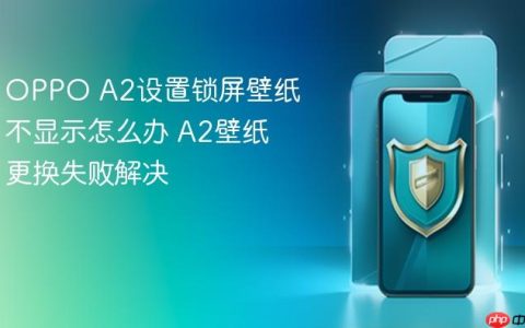 OPPO A2设置锁屏壁纸不显示怎么办 A2壁纸更换失败解决