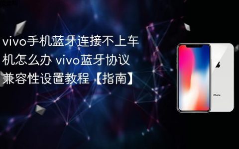 vivo手机蓝牙连接不上车机怎么办 vivo蓝牙协议兼容性设置教程【指南】