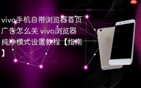 vivo手机自带浏览器首页广告怎么关 vivo浏览器纯净模式设置教程【指南】