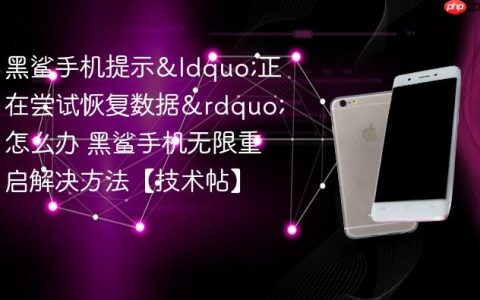 黑鲨手机提示&ldquo;正在尝试恢复数据&rdquo;怎么办 黑鲨手机无限重启解决方法【技术帖】