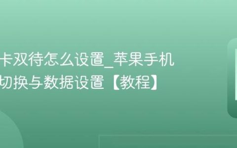 苹果双卡双待怎么设置?苹果手机主副卡切换与数据设置【教程】