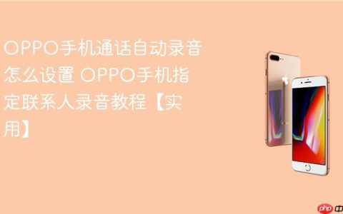OPPO手机通话自动录音怎么设置 OPPO手机指定联系人录音教程【实用】